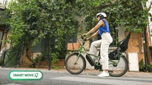 תיאוריה לאופניים חשמליים